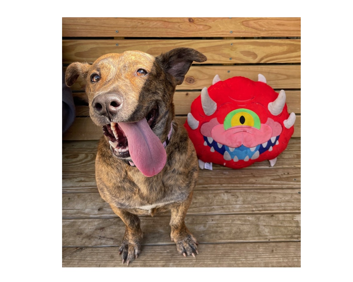 Happy dog smiling with tongue out next to red plush cacodemon inspired by DOOM franchise